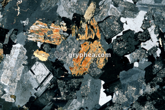 Granite altéré LPA x3 - gryphea.org